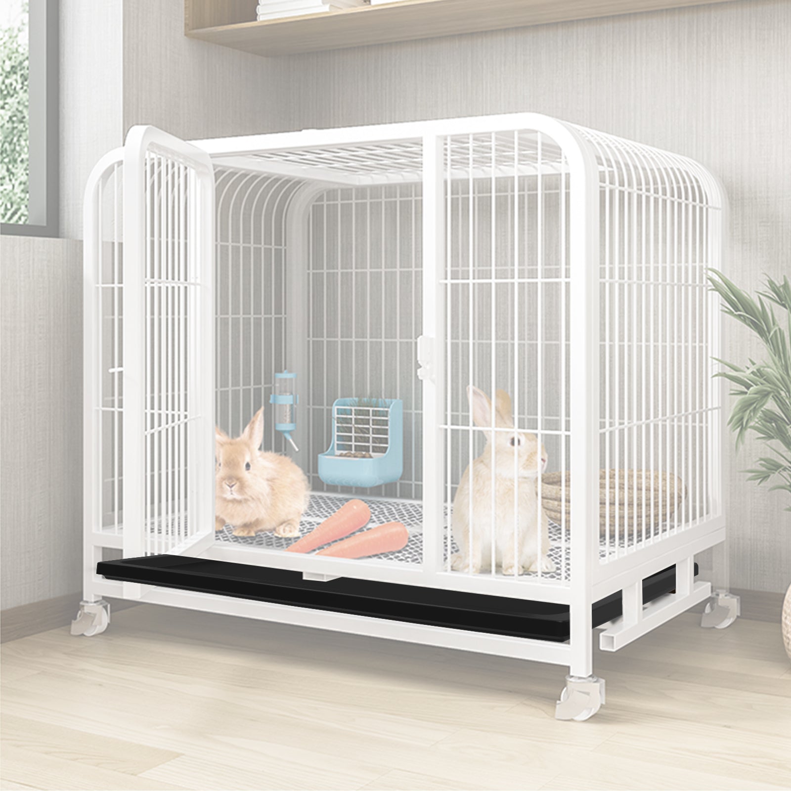 Large Dog Small Plastic Dog Crate Large Size Dog Crate Acrylic